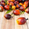 Por qué no debes consumir aceite de palma