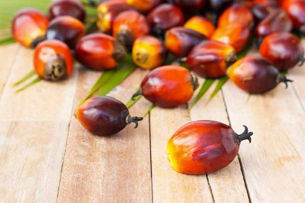 Por qué no debes consumir aceite de palma