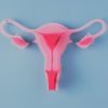 Todo lo que hay que saber sobre la salud del útero