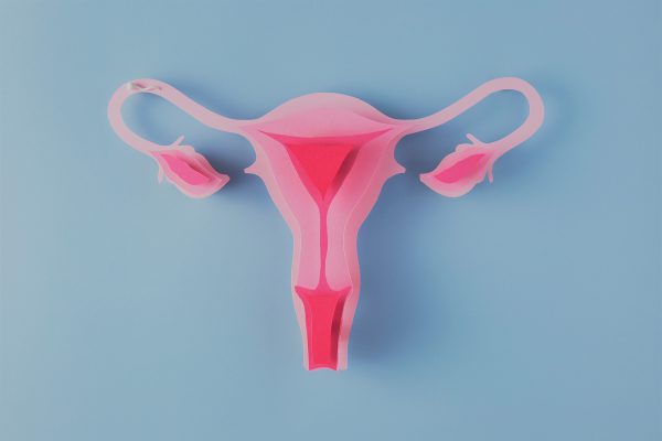 Todo lo que hay que saber sobre la salud del útero